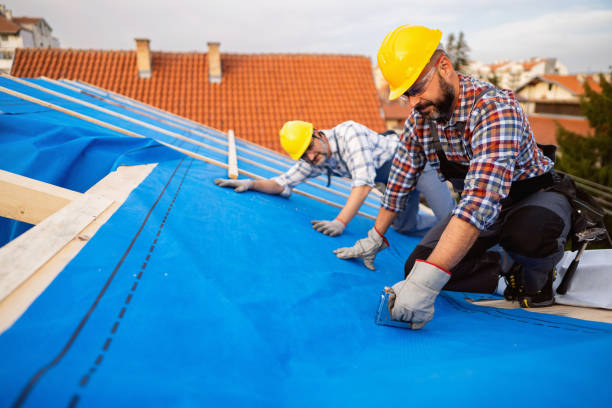 Quick and Trustworthy Emergency Roof Repair Services in Long Prairie, MN