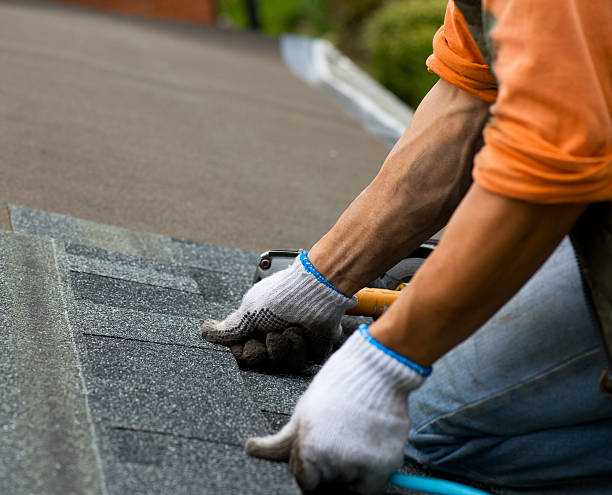 Best Local Roofing Companies  in Long Prairie, MN