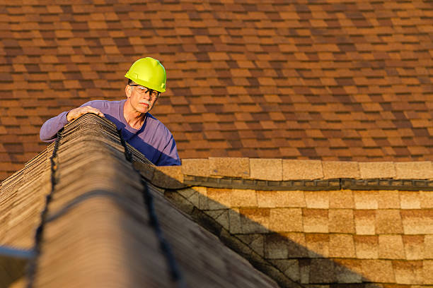 Best Shingle Roofing Installation  in Long Prairie, MN