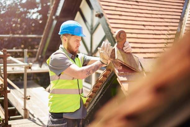 Best Local Roofing Companies  in Long Prairie, MN