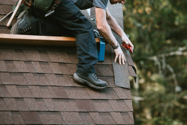 Best Shingle Roofing Installation  in Long Prairie, MN