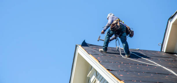 Best Storm Damage Roof Repair  in Long Prairie, MN